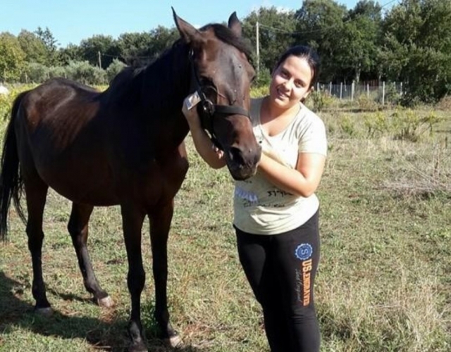  Conociendo el caballo 