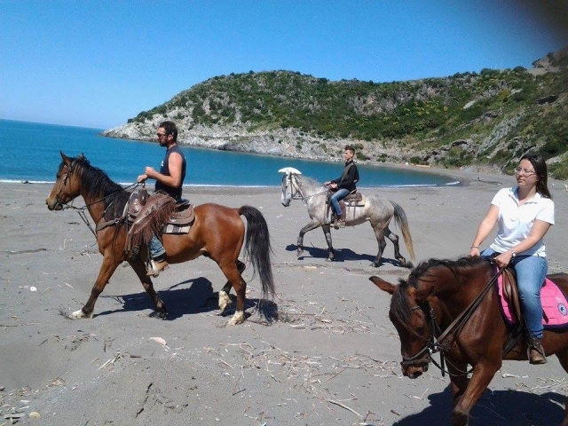  Al mar 