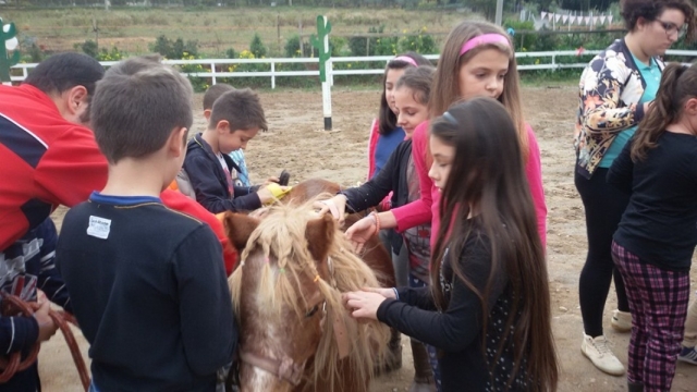 Conociendo al pony 