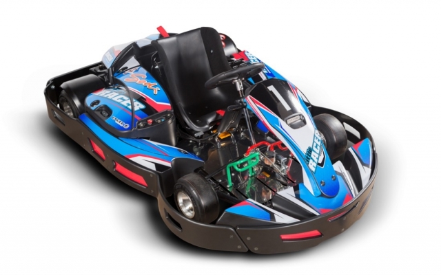 El kart infantil 