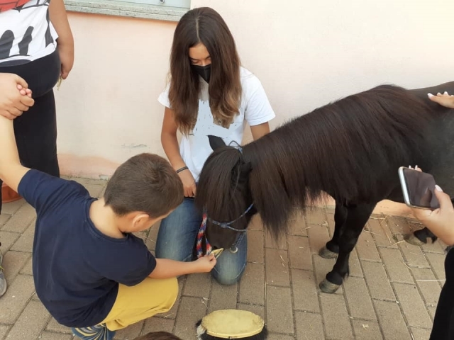 Junto con nuestros ponis después de la lección 
