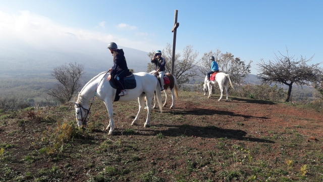 Paseo a caballo de 1 hora por el Etna