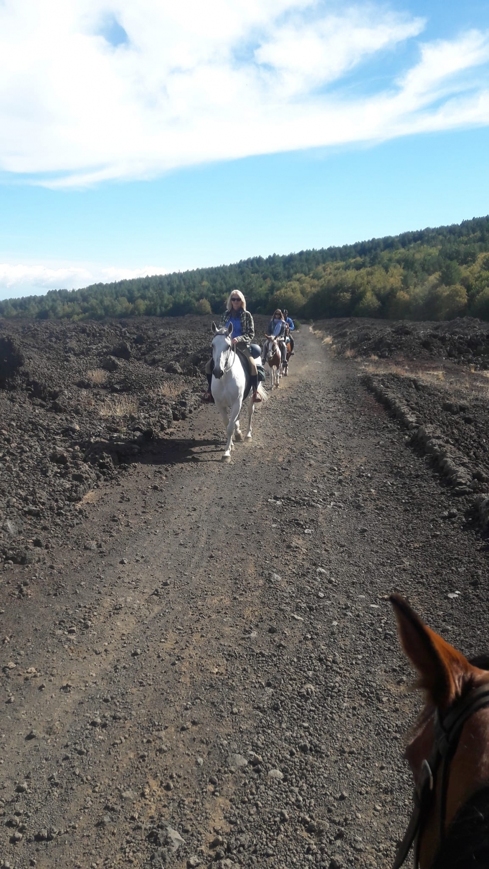  Caminos volcánicos 