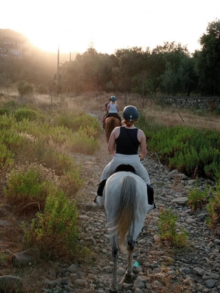 Paseo a caballo de 2 horas por el Etna