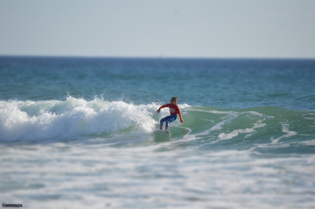  Surfear 