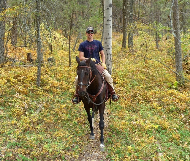  En el bosque