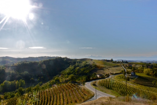  Las Langhe en otoño