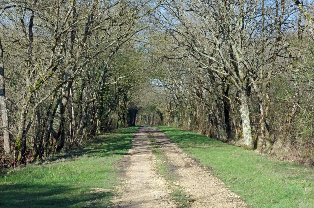  El camino