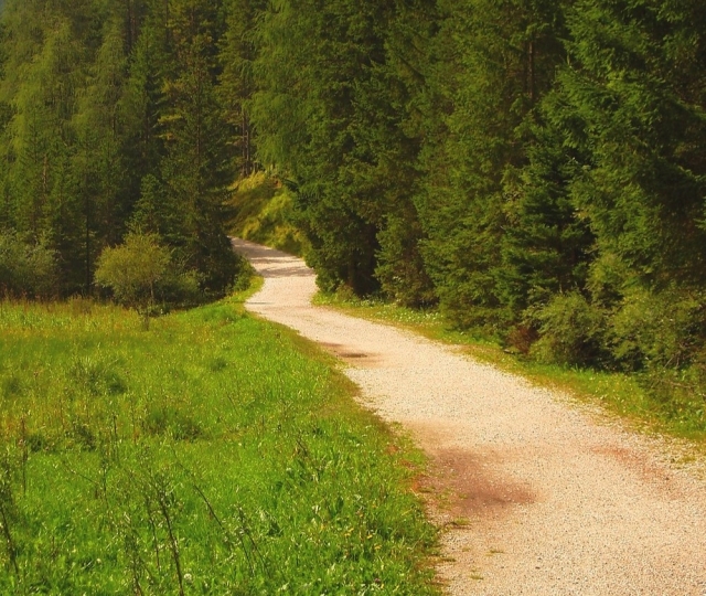 El camino 