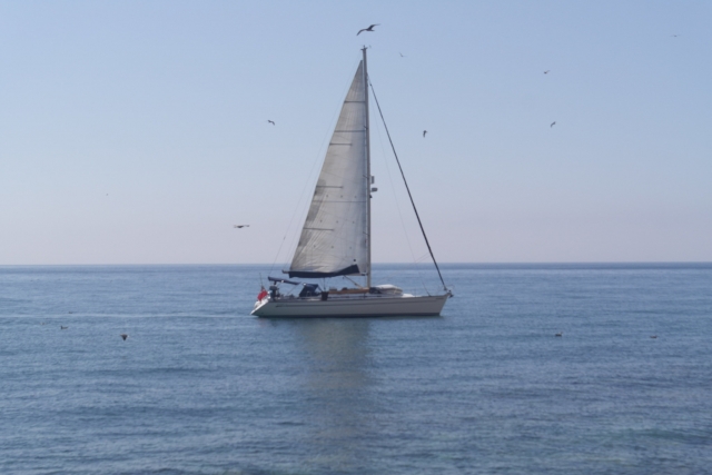 El velero 