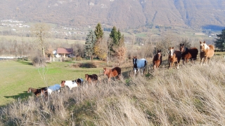 Cabalgamarra adultos Valle Stura 2H
