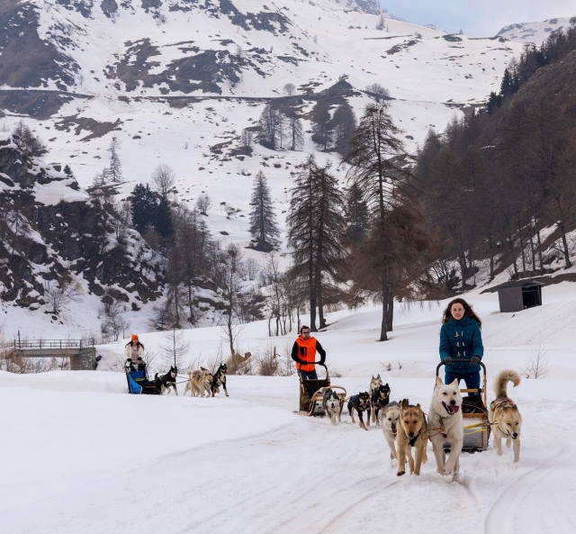 Excursión con Husky en Cuneo 