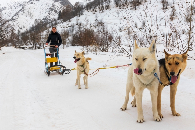 Breve descanso en la nieve 