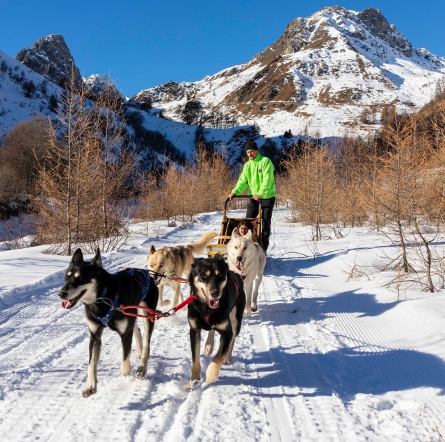  Trineos tirados por perros en Cuneo