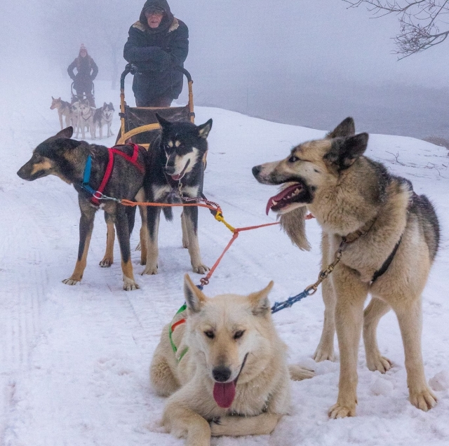 Pequeña parada en los Alpes 
