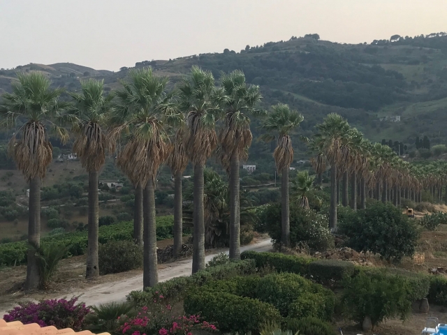  hermosos paisajes en la zona de Trapani 