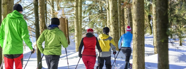  raquetas de nieve entre los cráteres