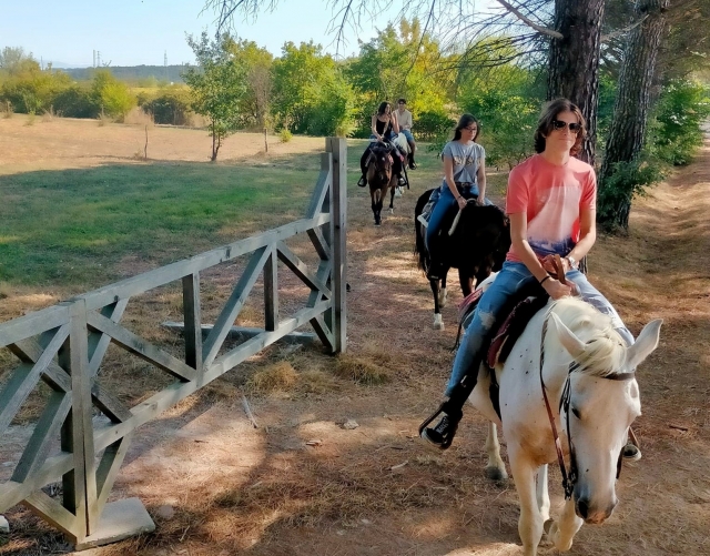  subiendo nuestros caballos 