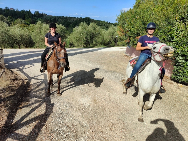 Paseo a caballo 50 min + 10 min teórico en Lari