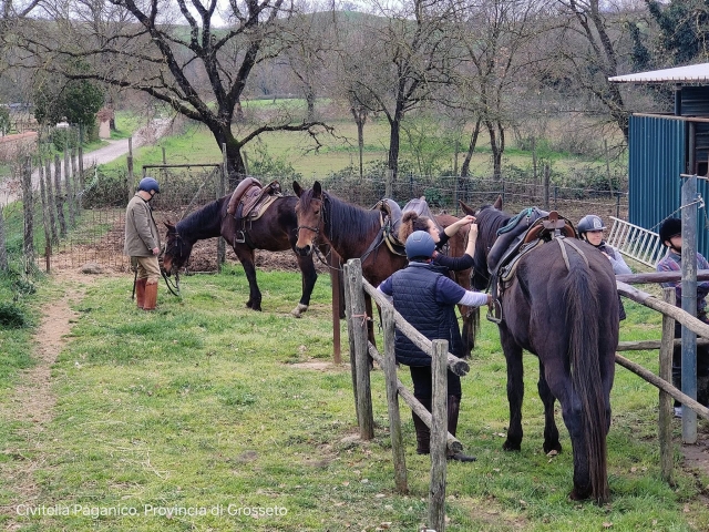  Cuidados de los caballos
