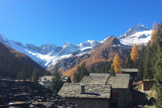 vista desde la casa 