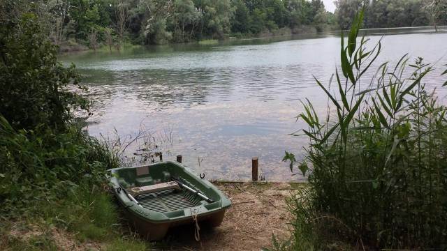 lago de cronovilla 
