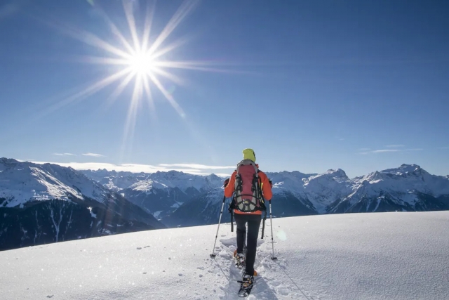  venga con nosotros a descubrir los Alpes 