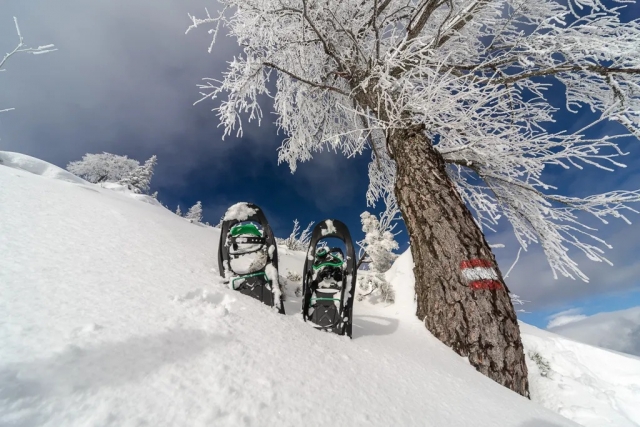 ¡Prueba a caminar con raquetas de nieve! 