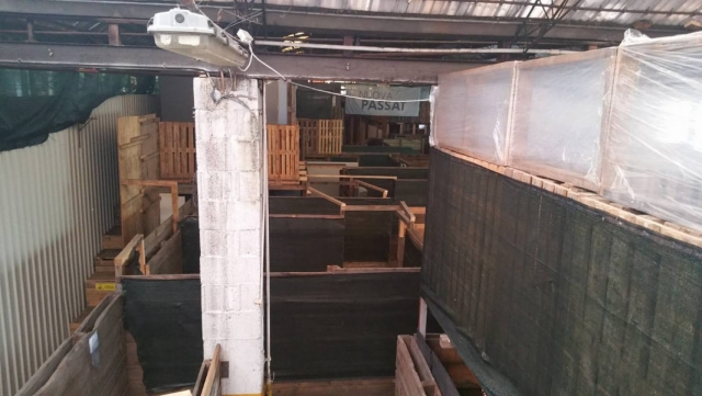  campo de airsoft cubierto