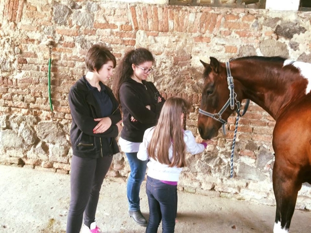  aprende a cuidar caballos 
