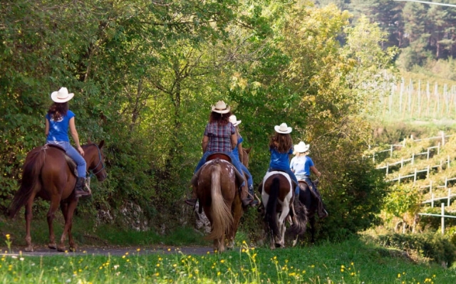  Visitarás lugares hermosos 