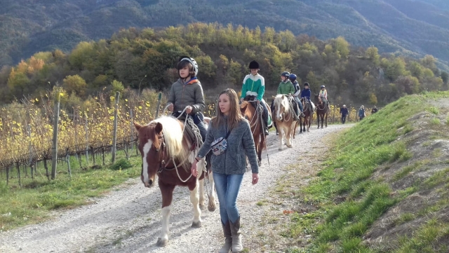  pbaños a caballo para principiantes 