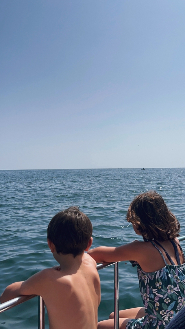  Excursión para avistar delfines