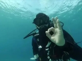 Curso Open Water Drive en Turín de 14 lecciones