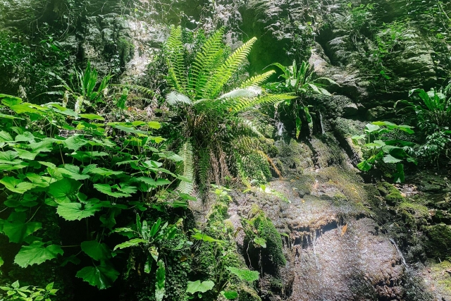  La naturaleza del Río Selvano en Toscana