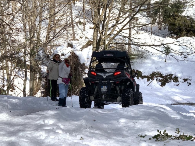  Excursiones en buggy de invierno