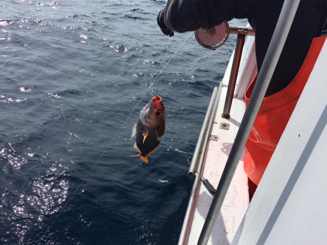 pesca de fondo 