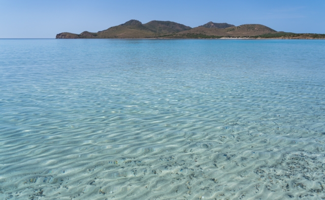 Salida de pesca de fondo en Teulada 8h