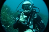 Curso de buceo en aguas abiertas en Paestum