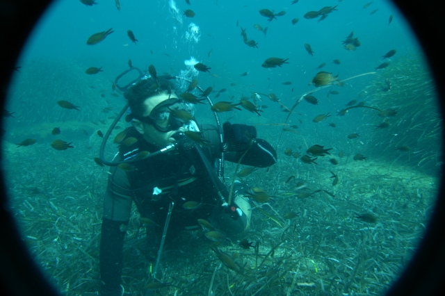  Especialidad en identificación de peces