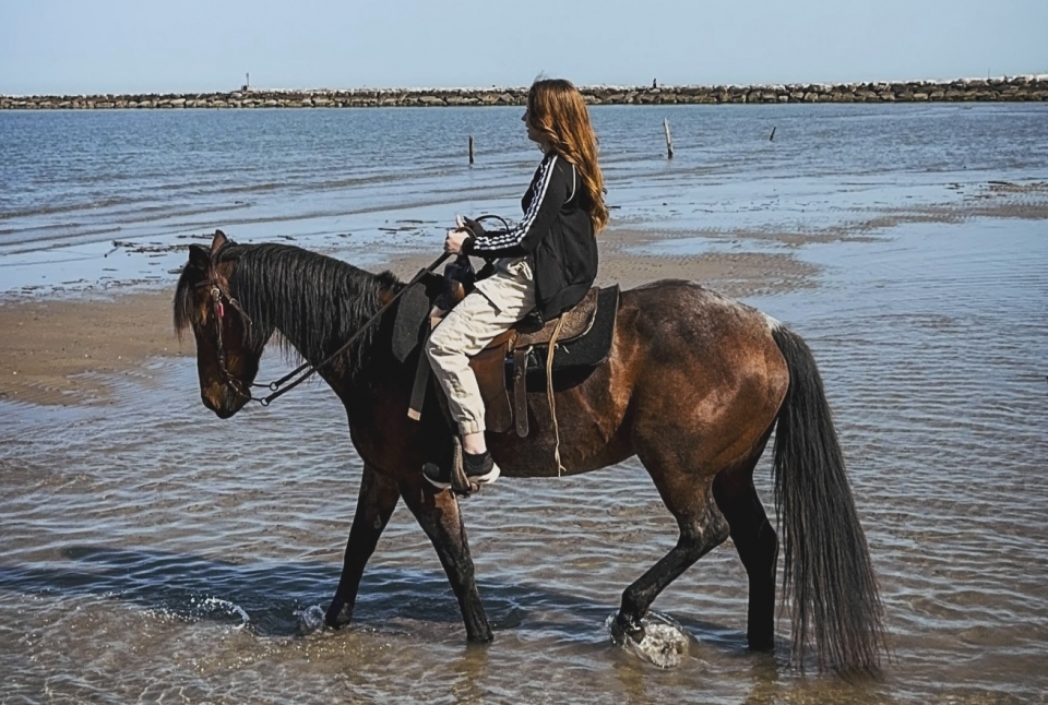 Pbaños a caballo junto al mar 