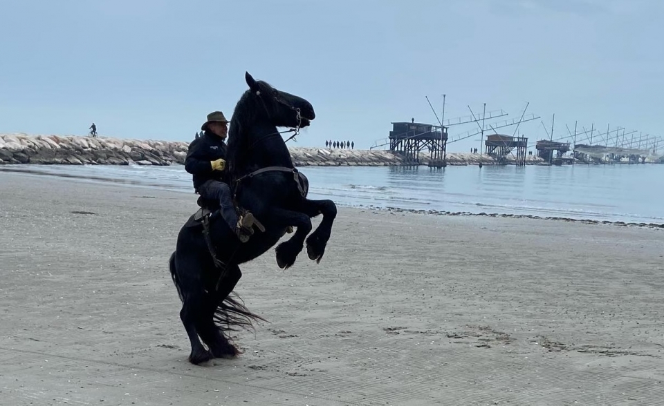  Establos de equitación Chioggia 