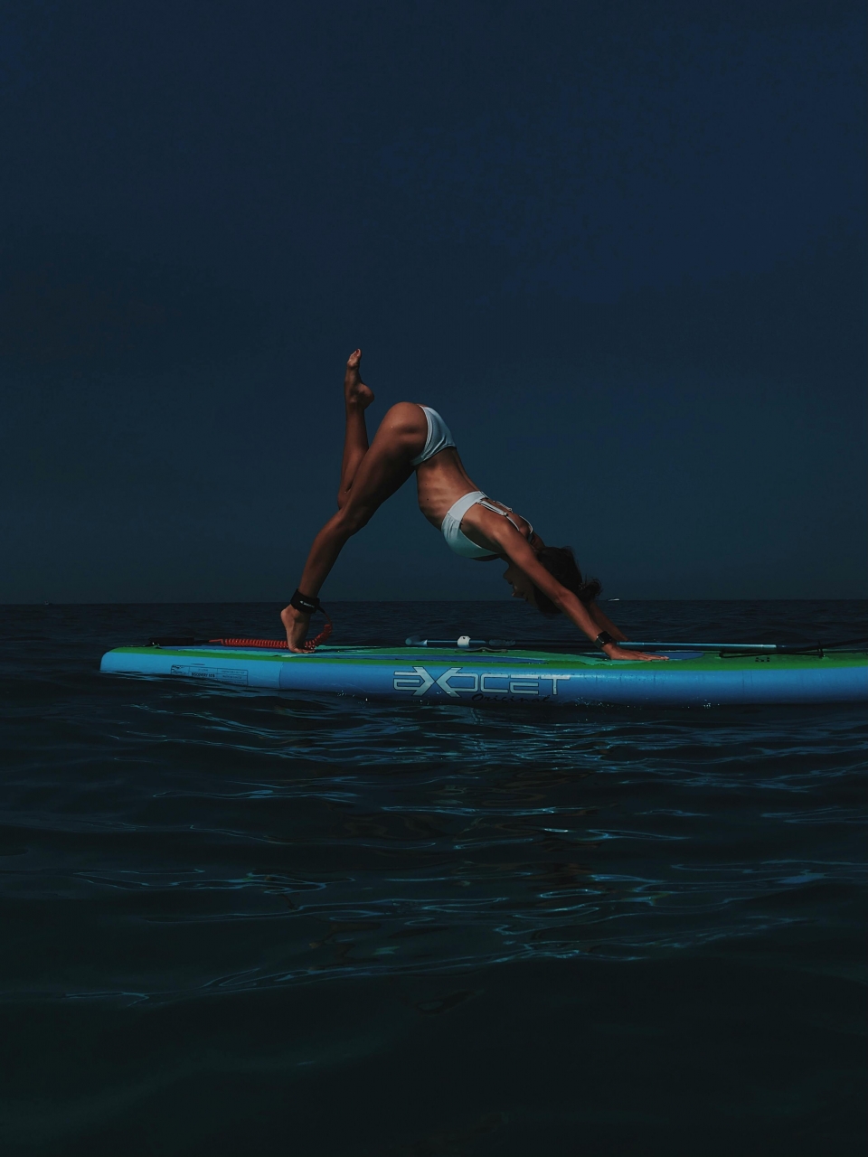 Yoga Avanzado 