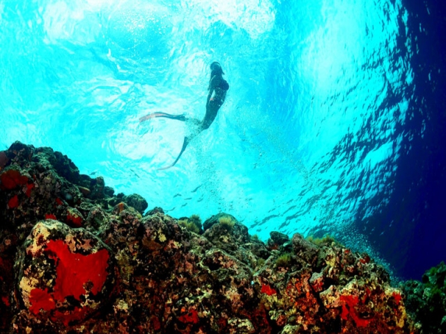 Paseo en embarcación auxiliar con buceo en Acitrezza 3h