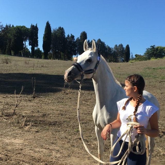  Antes de comenzar la excursión a caballo