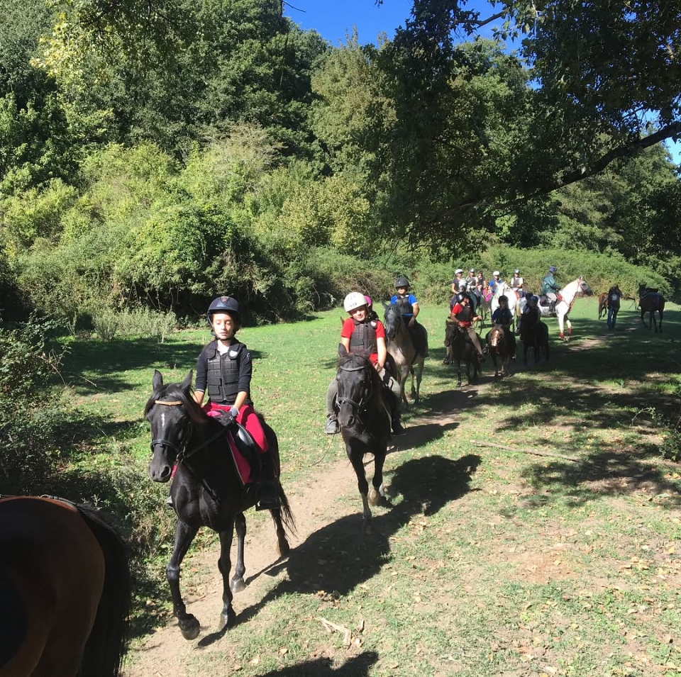  Pbaños a caballo por Roma 