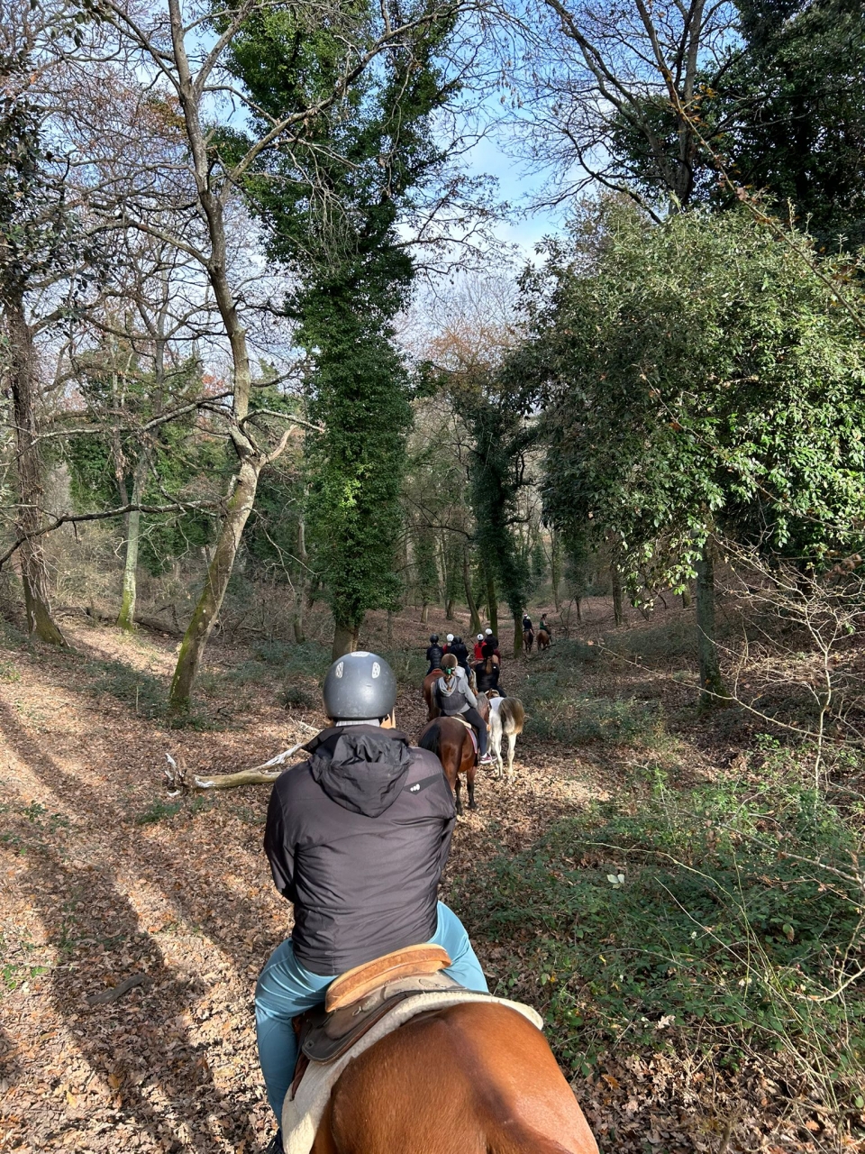  Pbaños a caballo en el Parque Veio 