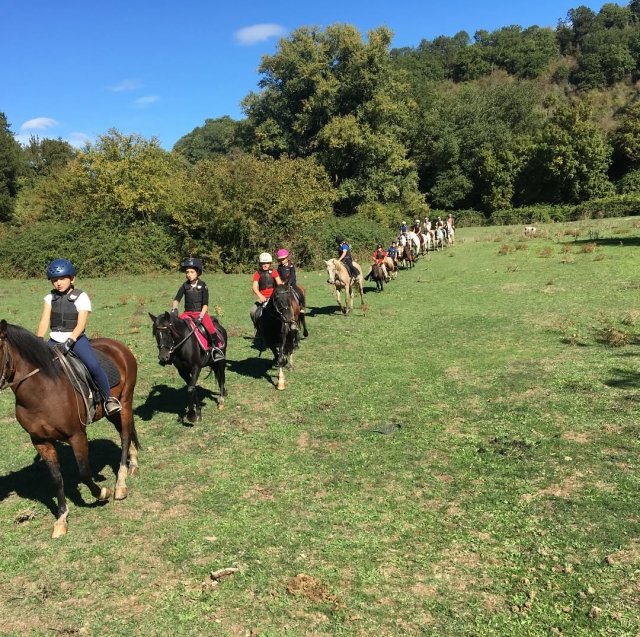  Paseo a caballo en el Parque Veio