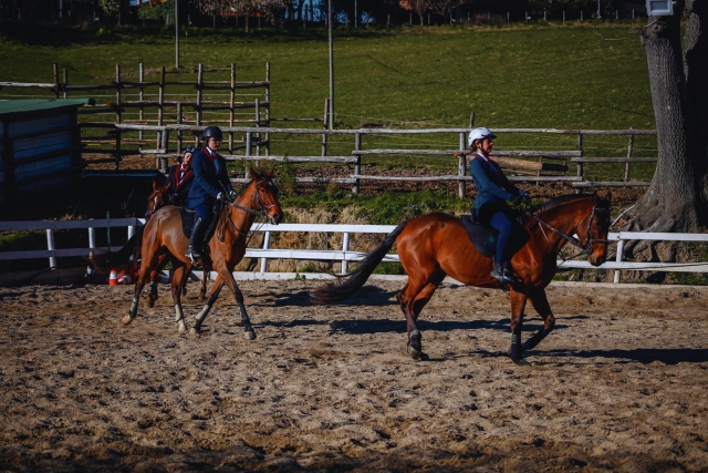  Listo para salir a caballo