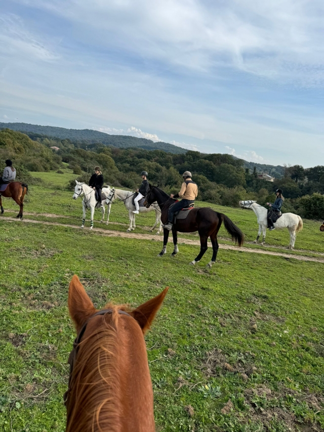Pbaños a caballo en el Parque Veio 